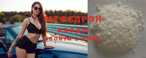 ECSTASY Богданович